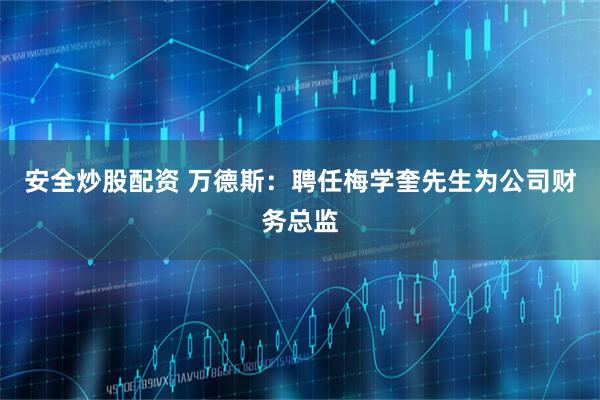安全炒股配资 万德斯：聘任梅学奎先生为公司财务总监